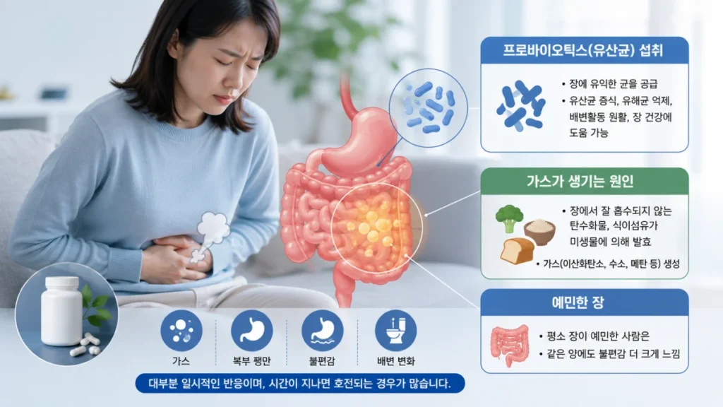 프로바이오틱스 섭취 후 장내 발효로 가스와 복부 팽만이 생길 수 있는 원인을 설명하는 이미지