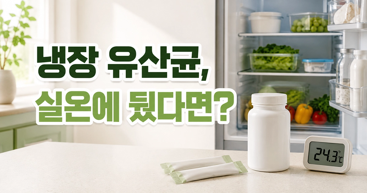 냉장고 옆에 놓인 유산균 제품과 실내 온도계